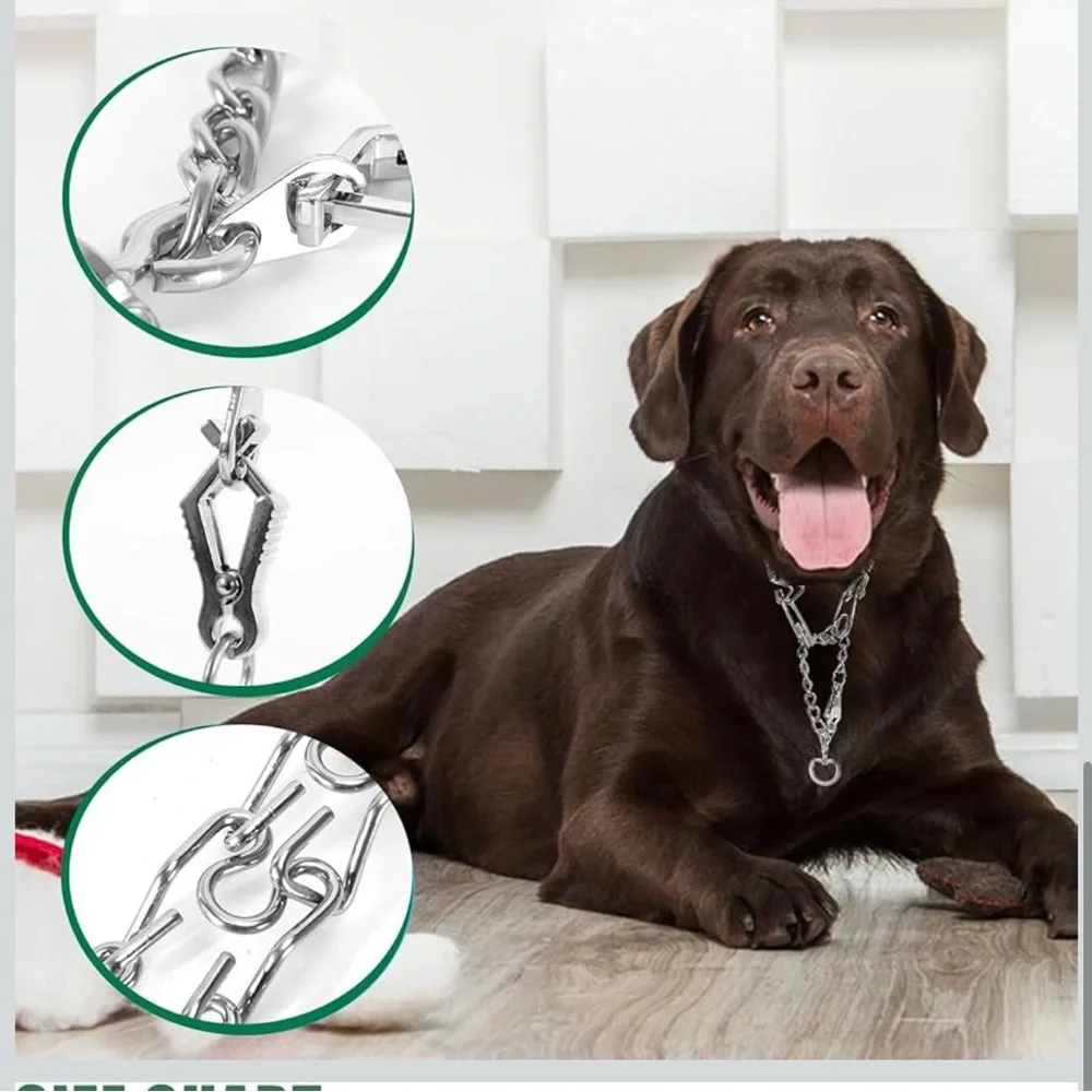 Dog Training Collar Prong Collar